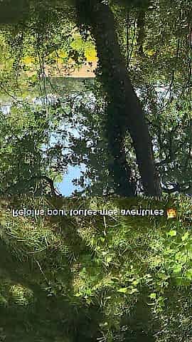 YOUTHFUL FRENCH CUTIE, I GET SCREWED IN THE FOREST