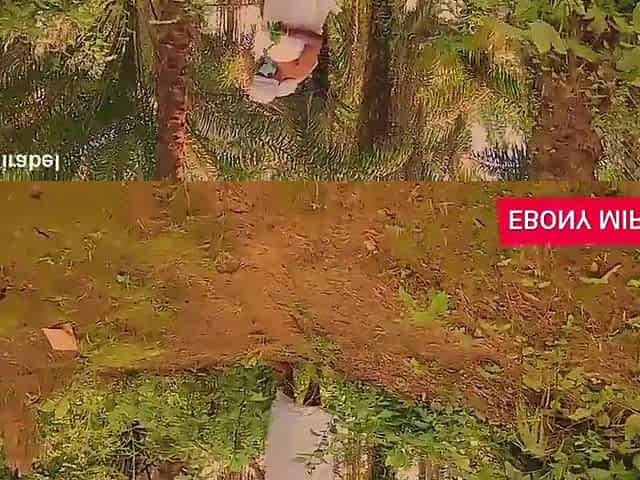 Herbalist went to get some herbs in forest end up banged with a dude