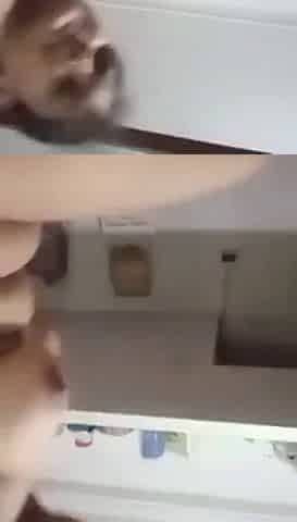 Village Chubby Girl with Big Boobs Fingering Pussy Video MMS