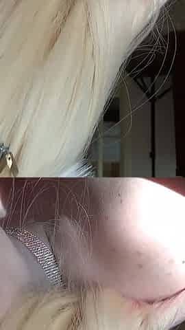 The Cosplay Courtesan Kitti Minx Sucks Black Cock and Makes Herself Cum