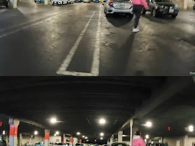 Cutie Sucking Dong Stranger in Car / Sucked All The Cum