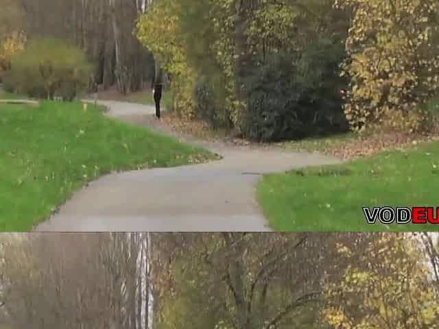 Corpulent French older gets banged by 2 boys