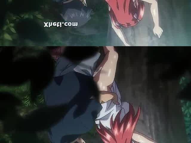 Hentai Manga, Animation porn