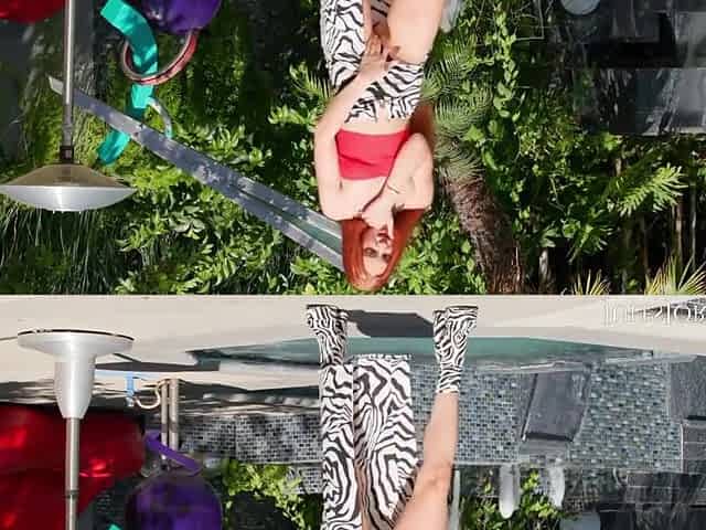Is An Anal Playground With Little Dragon And Zac Wild