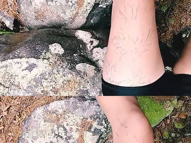 mother I'd like to fuck gets facial at state park