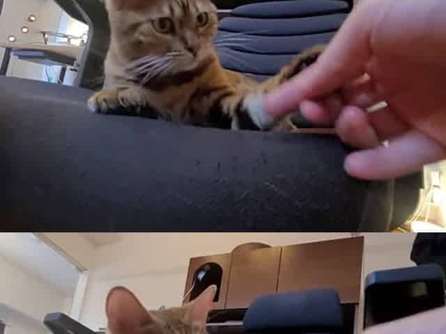 A Compilation of That Get U Concupiscent