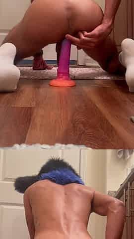 Watch a furry moan and tremble until orgasm. Large dildos, ball slapping, fisting, self fucking
