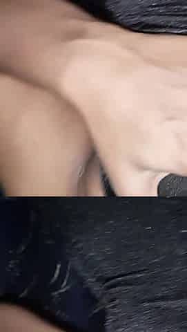Natural Big Boobs and Big Ass Indian Teen Hard Fucking and Sucking for Cum