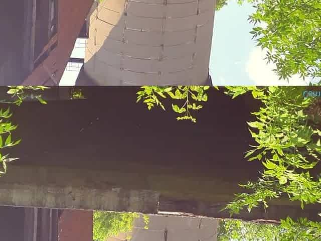 Real Public Cum Pants