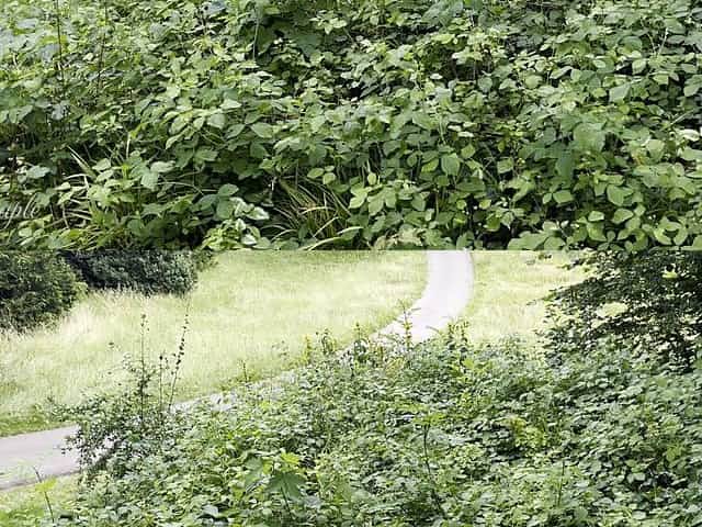 Bbw girl give perfect sloppy handjob in a park - risky and sloppy :P