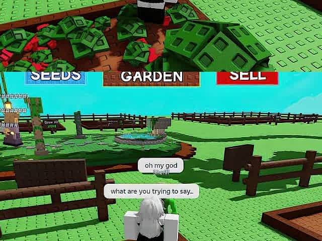 white roblox wench screwed in GAG game