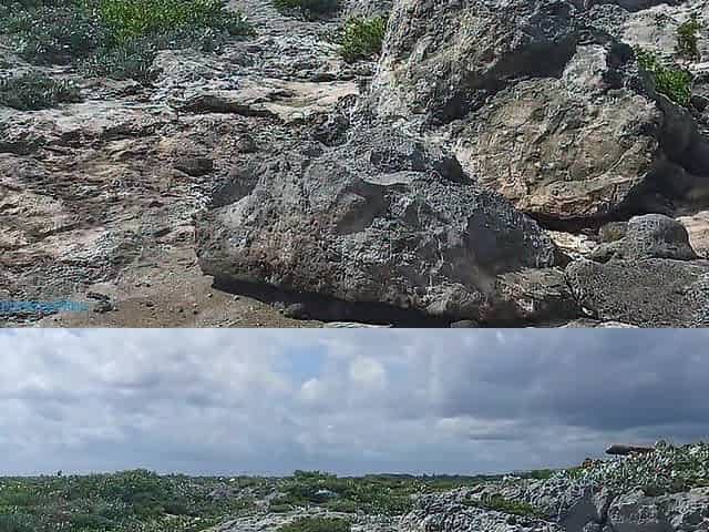 Risky masturbation on a beach, my breasts are shaking hawt