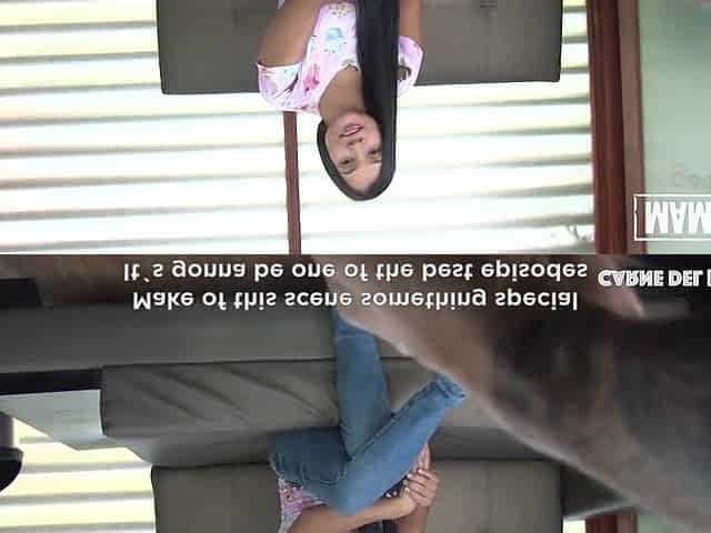 MAMACITAZ - Thick Brunette hair Sara Restrepo Is Willing For Hard Sex