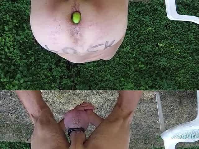impure homo pig servenaked outdoor now in peniscage with apples in butt and bodywriting