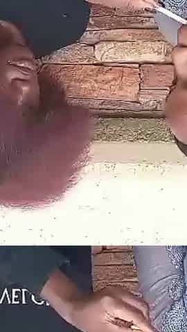 Park Nude Lesbian Sex