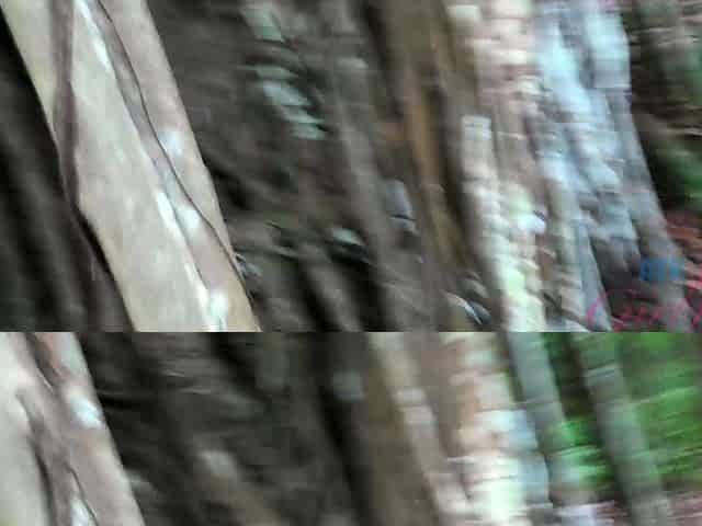 Busty amateur teen outdoor hardcore action with cum
