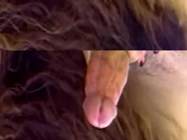 Busty Wifey Shakes And Rides Cock - Outdoor