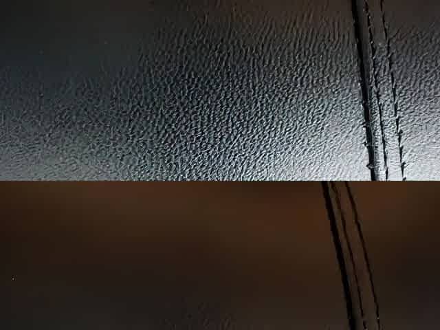 ClaraDomme Leather Dose