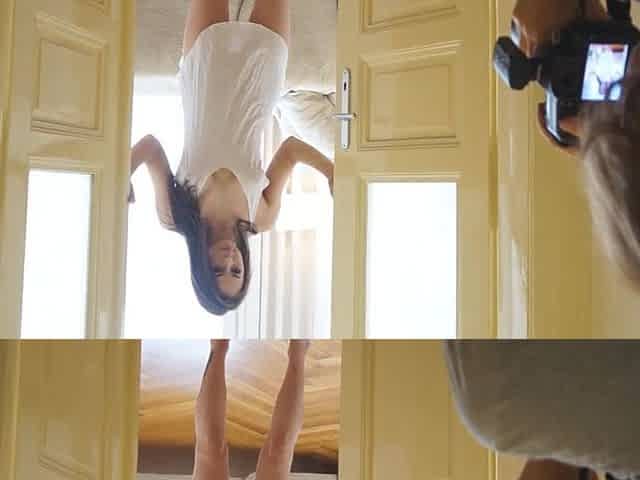 Solo Shy