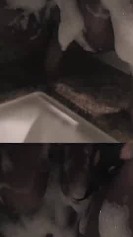 Big Ass Ebony Babe Is Toying Her Wet Cunt in The Bathroom
