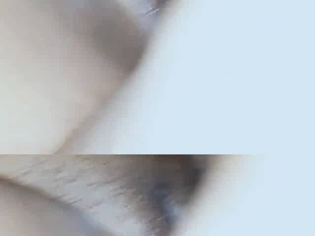 Bangladeshi 27y Old Bhabhi Rough Fucking.
