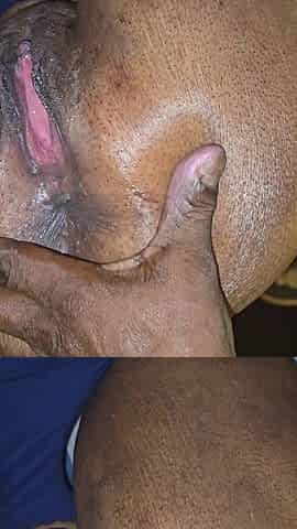 It's Time to Lick Your Ass