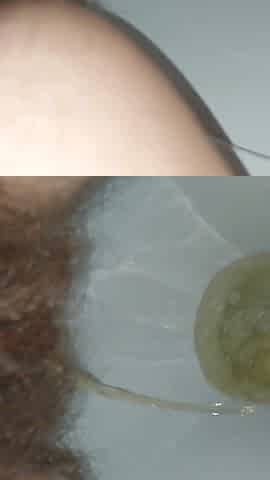 Hairy Pussy Piss