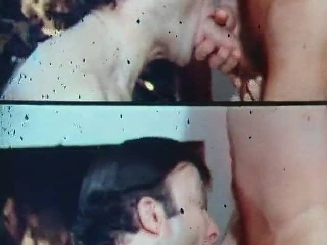 Porn Loops (1970s, France, German dub, compilation, DVD)