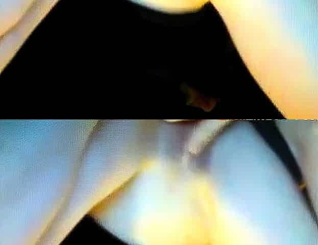 Cafe Masturbation Webcam Show