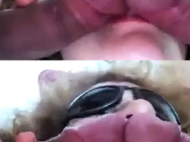 Milf frottage 2 cocks & cumshot