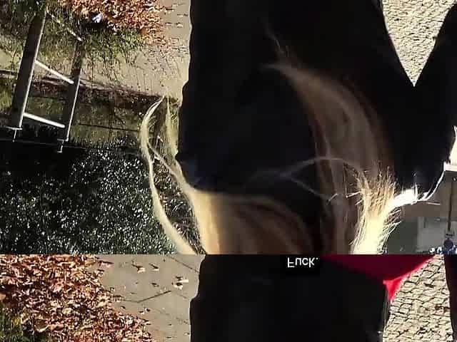 Pickedup blonde babe cockriding random