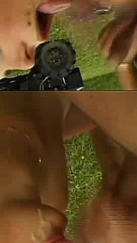 Pornstar Fuckers Looking for Young Sluts