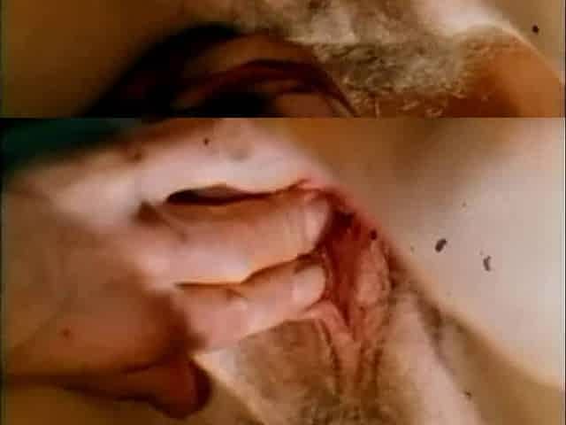 Lunch Sex Break (USA 1976, Marlene Willoughby, Vanessa Del Rio)