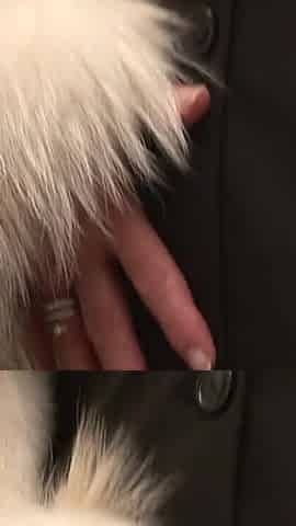Pierced Pussy on Posh Mature 4515