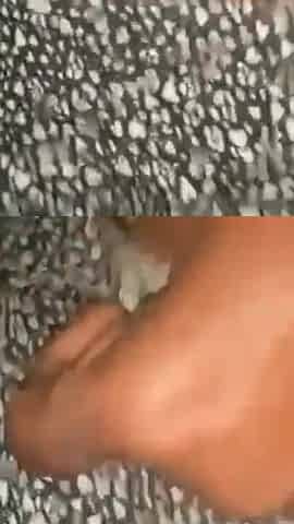 WildEnglishBBW BBC Nata4sex wakes me up deeptroath squirting on my pussy & booty