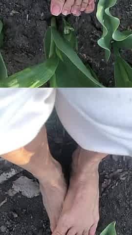 Melove with Her Small Feet Outdoor in the Garden