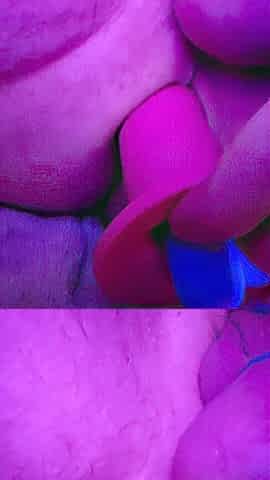 Pegging Prostate Stimulation