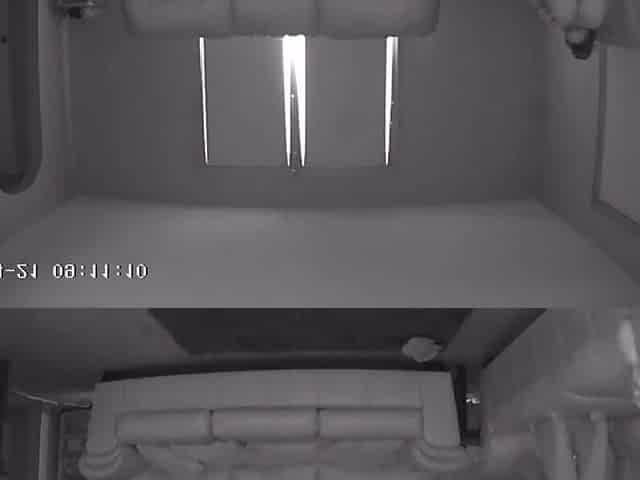 Wicked Babysitter Got Caught Masturbating on Nanny Webcam