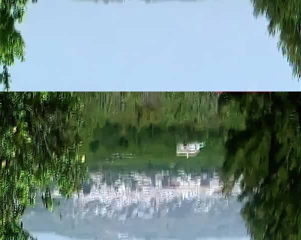 German Amateur Outdoor Creampie