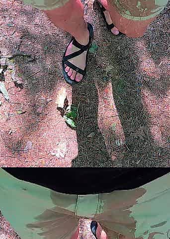 Public Wetting Compilation