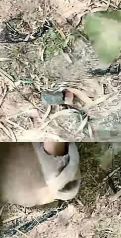 Asian amateur gives outdoor blowjob