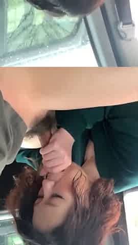 In-car video set: Sex and fellatio