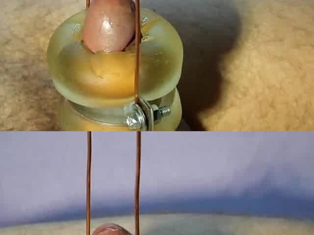 Milking Cum Machine 05