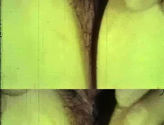 Horny amateur bitch handles double penetration