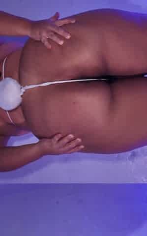 Naughty Bunny Giving Me a Blowjob with Her Huge Tits