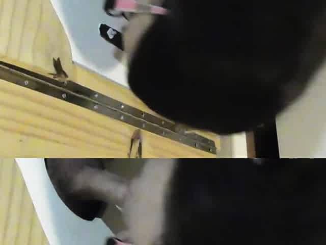 Glory hole blowjobs are more than special