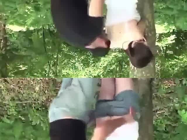 Big-bosomed French Girl Get Banged In The Wood