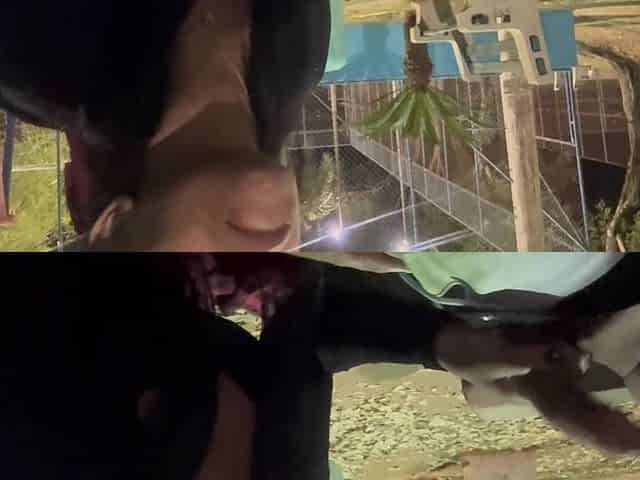 Preta Left Home at Night, I Went After Her, I Found Her in the Park, She Was so Horny That We Decided to Have Sex Right There.