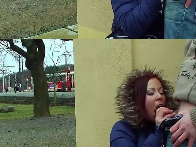 Der Einkaufsstrasse Gefickt Public
