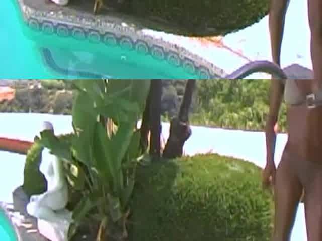 Ebony Petite's Poolside Passion Ignites with Sultry Heat